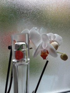 Flower by Kenzo, Parfum