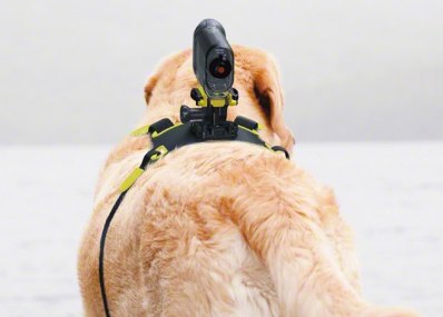 Mit Sonys AKA-DM1 wird der Hund zum Kameramann 