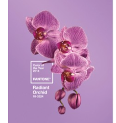 Radiant Orchid: Die offizielle Farbe des Jahres 2014